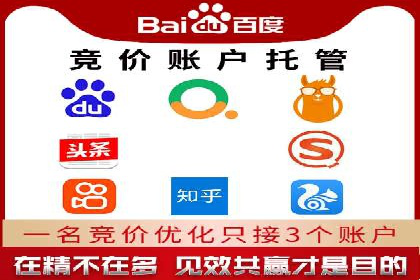 精准投放，高效转化——网站sem托管的胜利案例