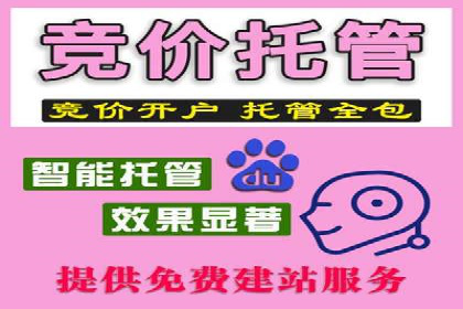 SEM竞价托管服务，成功案例展示转化成果